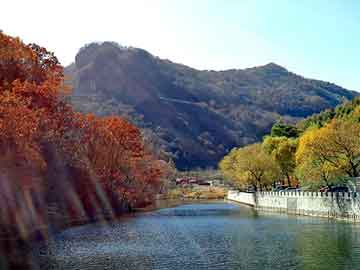 奥门天天开奖免费资料，深圳到银川物流公司